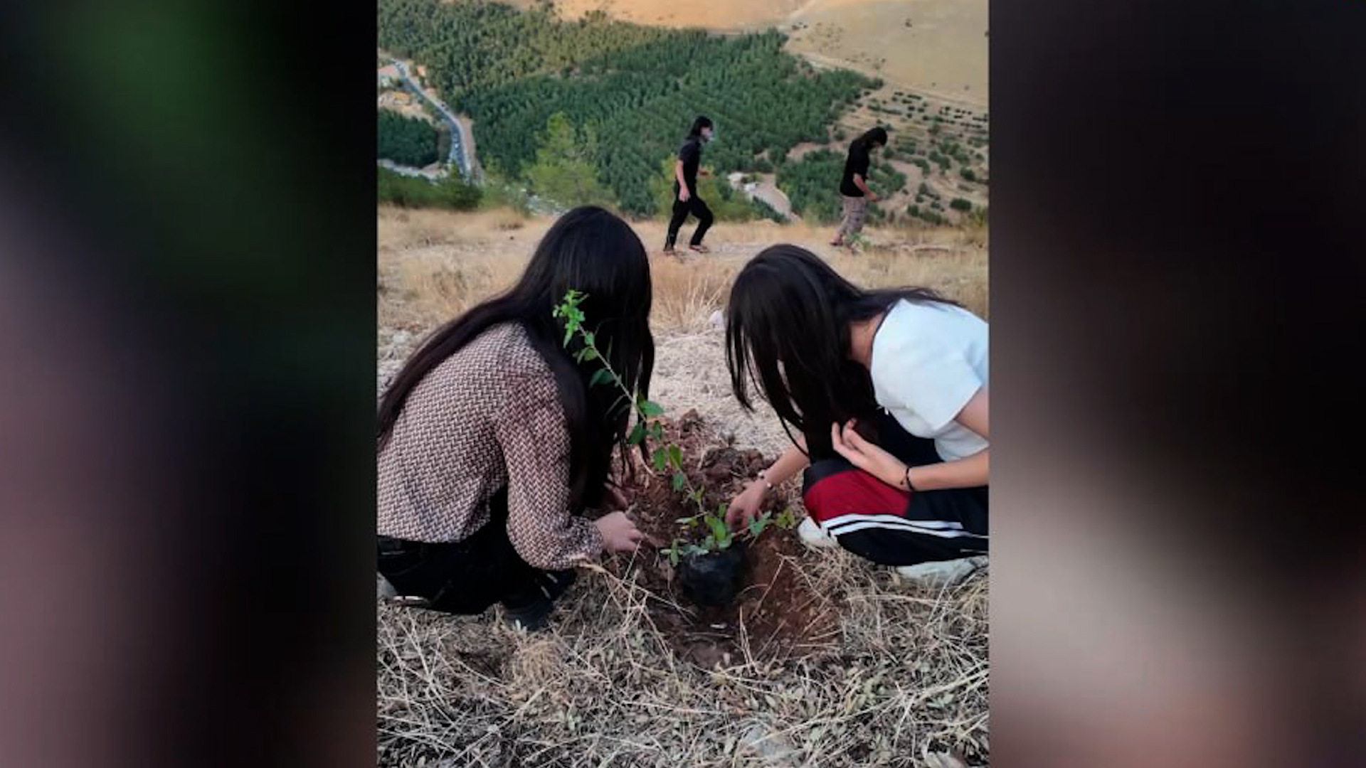 Ciwanên Başûr dijî pergala qirkirina Îmraliyê bang kirin