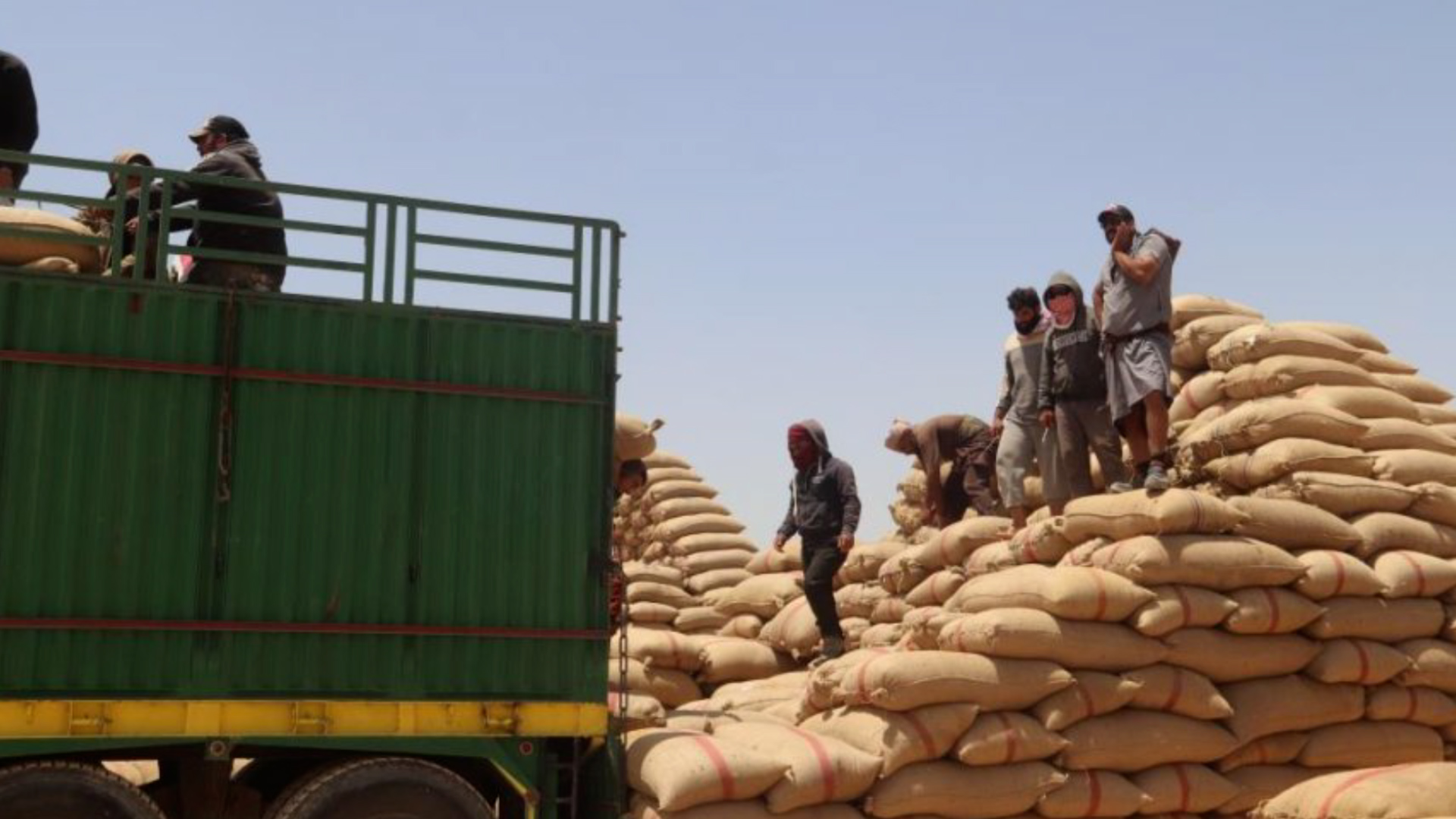 ”Li Reqayê zêdetirî 110 hezar ton genim depokirî ye”