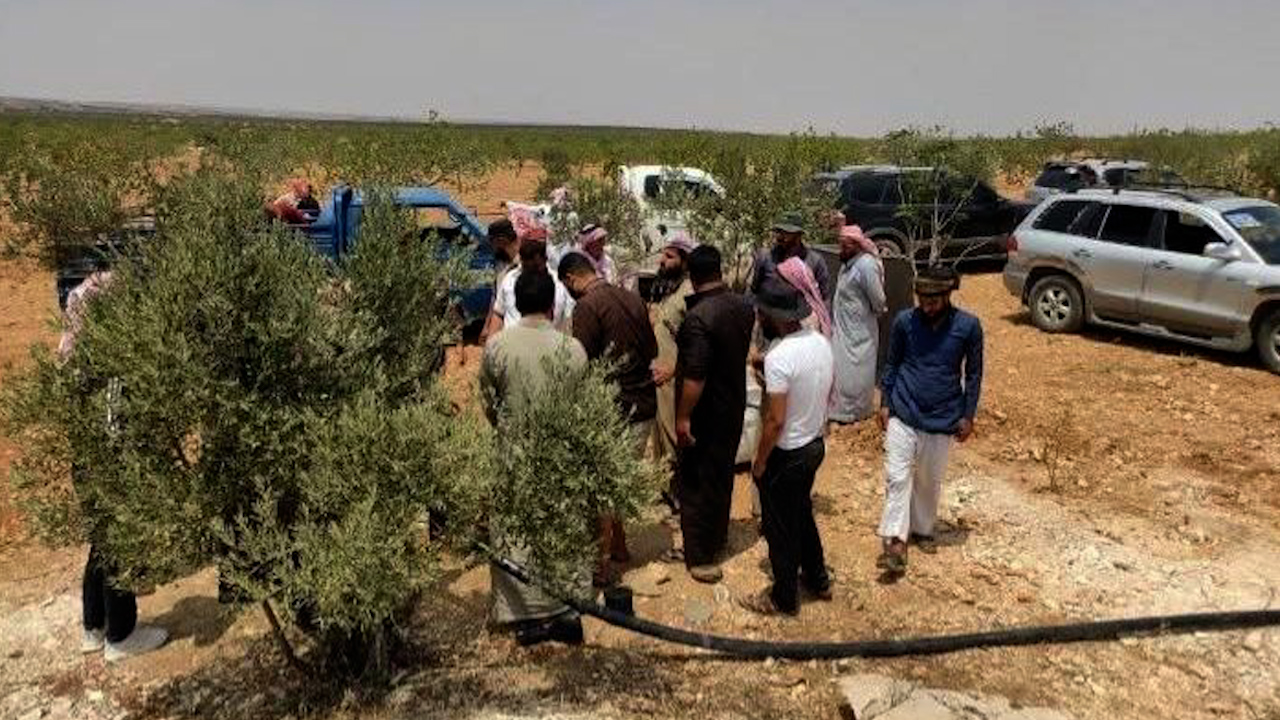 Li Hemayê goreke komî hate dîtin
