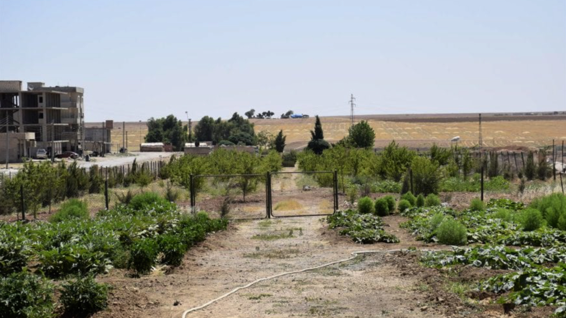 Li Dirbêsiyê projeyên domdar ên jîngehê