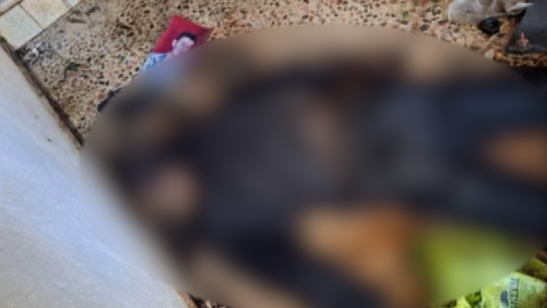 Li gundewarên Siwêdayê 20 cenaze hatin dîtin