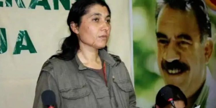 Endama Koordînasyona PAJK’ê Evîndar Ararat banga aştiyê nirxand