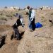 Li Sûriyê di nava mehekê de 5 gorên komî hatin dîtin
