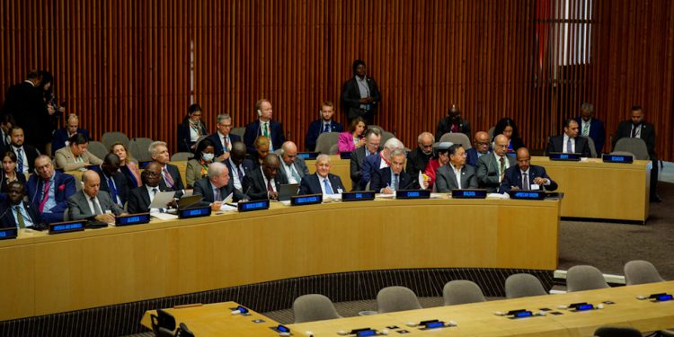 Li New York derbarê kampa Holê konferansek rêve diçe