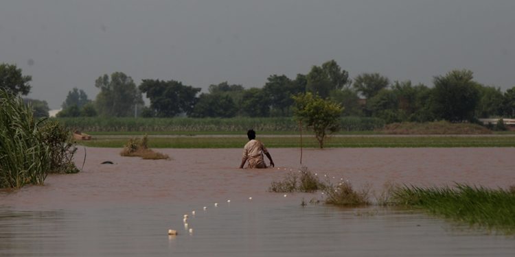 Hejmara qurbaniyên lehiyên ji ber barana zêde li pakistanê gihîşt 33 kesan