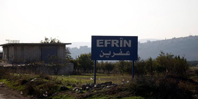 Li Efrînê bistanekî zeytûnan yê welatiyekî Kurd ji aliyê çeteyan hate talankirin