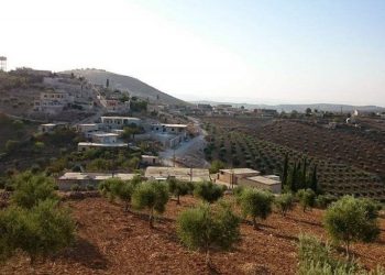 Çeteyan li Efrînê li 2 welatiyan xistin û pezî wan dizîn