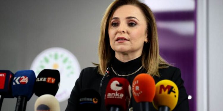 Ayşegul Dogan: Divê girtekên Îmraliyê werin eşkerekirin