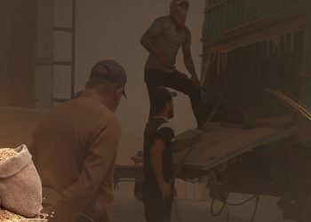 Cotkarên Qamişlo dest bi çandinê kirin