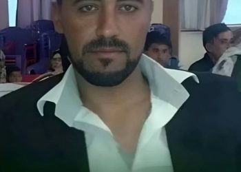 Şêniyek careke din ji aliyê çeteyan ve hat revandin