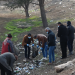 Şaredariya Sifeya ya Hesekê pêngava paqijkirinê da destpêkirin