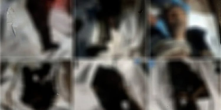 Li Siwêdayê 50 cenaze di 3 gorên komî de hatin ditîn