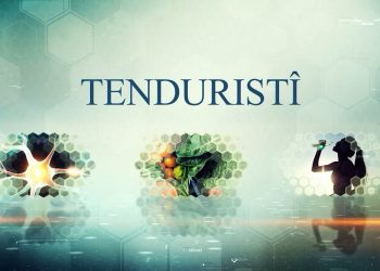TENDURISTÎ-18-12-2025