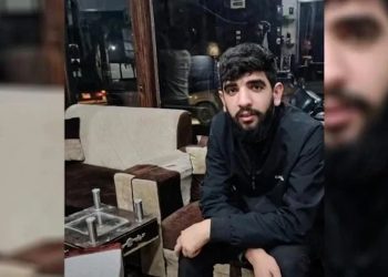Çeteyan ciwanek li Efrînê revand