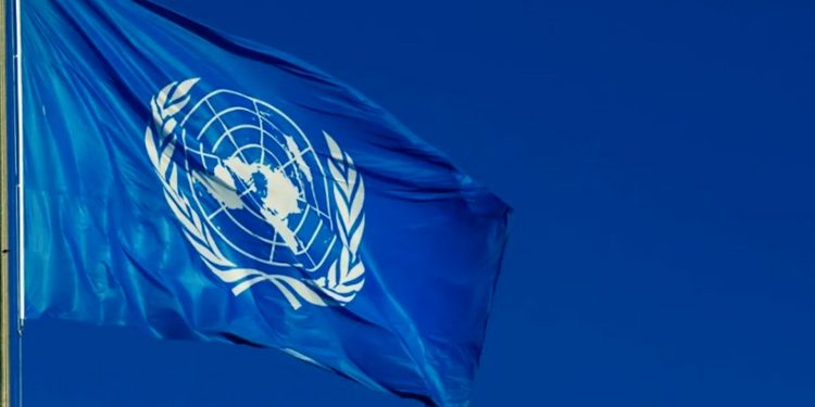 NY: Ji bo rewşa Kobanê em di nava dan û standinan de ne