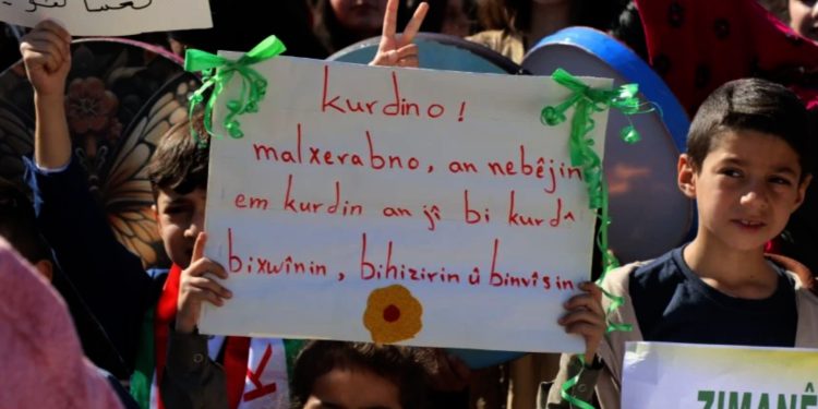 Li 7 bajarên Rojava meşên bi boneya Roja Zimanê Dayikê