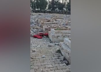 Li Minbicê xwediyê erdan ji bo veberhênanê gorên şehîdan radike
