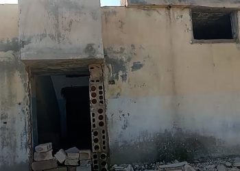 Çete malên li Serê Kaniyê talan dikin