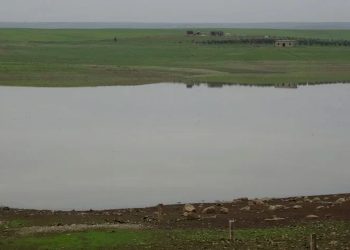 Li herêma Aliyan piştî salên ziwahiyê kanî der bûn û ava çeman zêde bû
