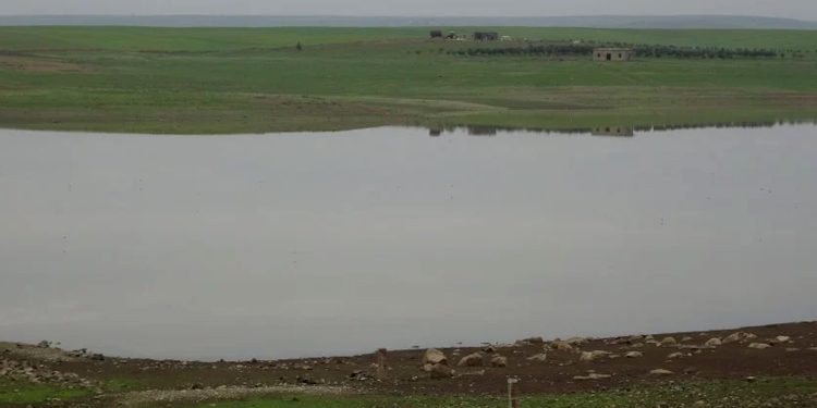 Li herêma Aliyan piştî salên ziwahiyê kanî der bûn û ava çeman zêde bû
