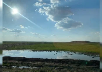 Bi barîna baranê re rêjeya ava binerd li Rojava bilind bûye
