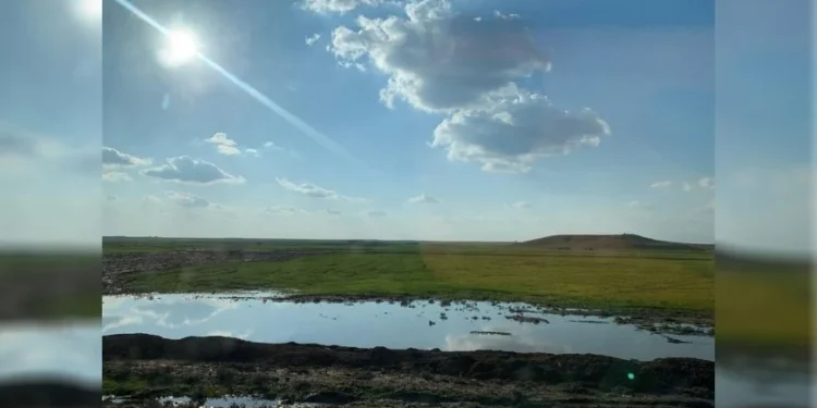 Bi barîna baranê re rêjeya ava binerd li Rojava bilind bûye