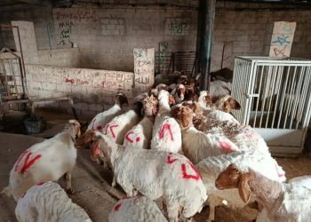 Navenda Lêkolînên Çandiniyê ya Hemayê bi hilweşînê re rû bi rû ye