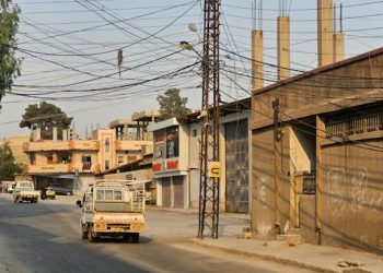 Jenetorên embêran ên Hesekê hatin pêxistin