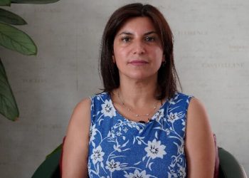Dîcle Ayşegul: Ji ber kujer nayên ceza kirin bûyerên kuştinê zêde dibin