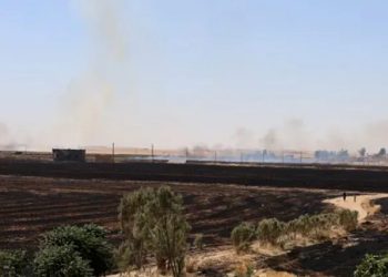 Meclisa Til Temirê: Leşkerên dewleta Tirk agir berdan zeviyên çandiniyê