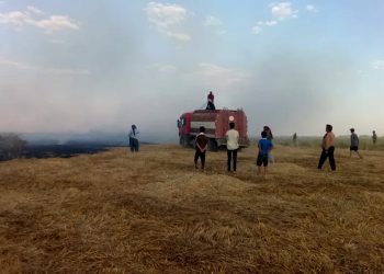 Navenda agirkujiyê ya Hesekê: 992 donim genim û ceh şewitîn