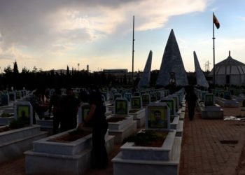 Li ser gorên şehîdan a Kobanê hezar kulîlk hatin çandin