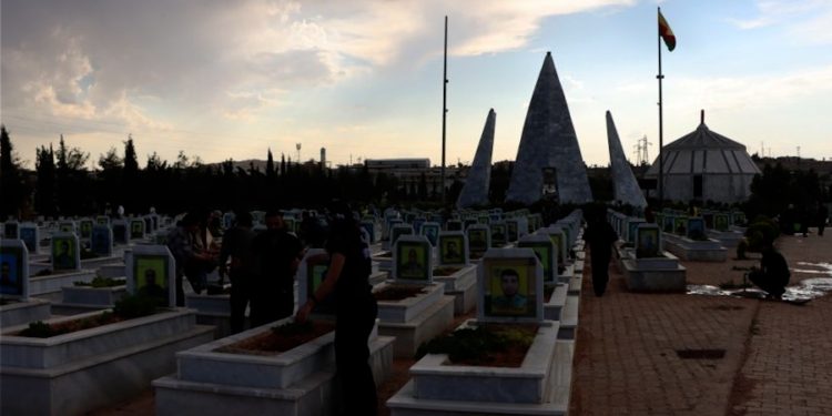 Li ser gorên şehîdan a Kobanê hezar kulîlk hatin çandin