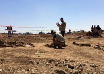 Li taxa Kerm El-Zeytûn a bajarê Humsê goreke komî hate dîtin