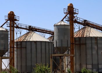 Li Hesekê 21 depoyên wergirtina genim amade ne