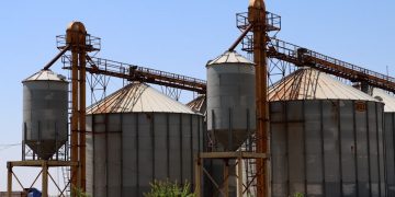 Li Hesekê 21 depoyên wergirtina genim amade ne