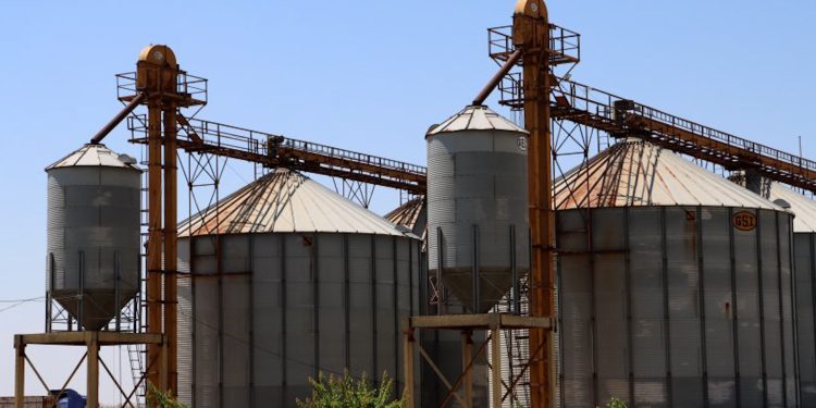 Li Hesekê 21 depoyên wergirtina genim amade ne