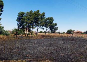 Li Til Temir û Koçeratê şewat