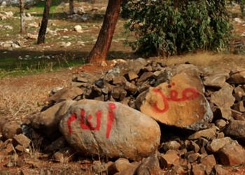 Li Reqayê 2 zarok ji ber teqîna bermahiyên şer birîndar bûn