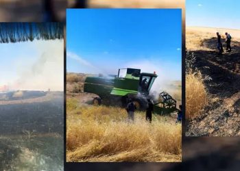 Li Tirbespiyê agir bi zeviyeke genim ket