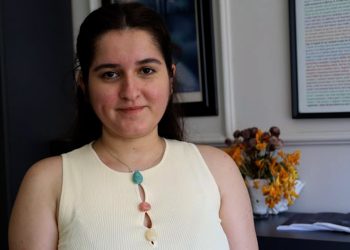 Sida Yildiz: Ji bo siyaseta demokratîk ewlehiya hiqûqî şerte