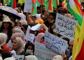 Jinan banga misogerkirina mafên çandî û zimanî di destûrê de kirin