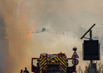 Daristanên Ewropa dişewitin: 20 hezar hektar şewitiye