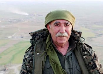 Şervanekî heqîqetê:Alî haydar Kaytan